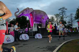 BIB: 
                            <button type="button" onclick="openModal(26529531)" class="btn btn-primary btn-sm float-right btn-popup" data-toggle="modal" data-target=".modal-high-quality">
                        <i class="fas fa-shopping-cart"></i> Add to Cart
                    </button>
                                            <button type="button" onclick="isThisMe(26529531, true)" class="btn btn-success btn-sm float-right btn-popup btn-isme hidden" data-toggle="tooltip" data-placement="bottom" title="นี่คือรูปของคุณใช่ไหม คลิกที่นี่เพื่อเอาเข้าอัลบั้ม">
                        <i class="fas fa-plus"></i> Add to album
                    </button>
                    <button type="button" onclick="isThisMe(26529531, false)" class="btn btn-warning btn-sm float-right btn-popup btn-isnotme hidden">
                        <i class="fas fa-ban"></i> Remove from album
                    </button>